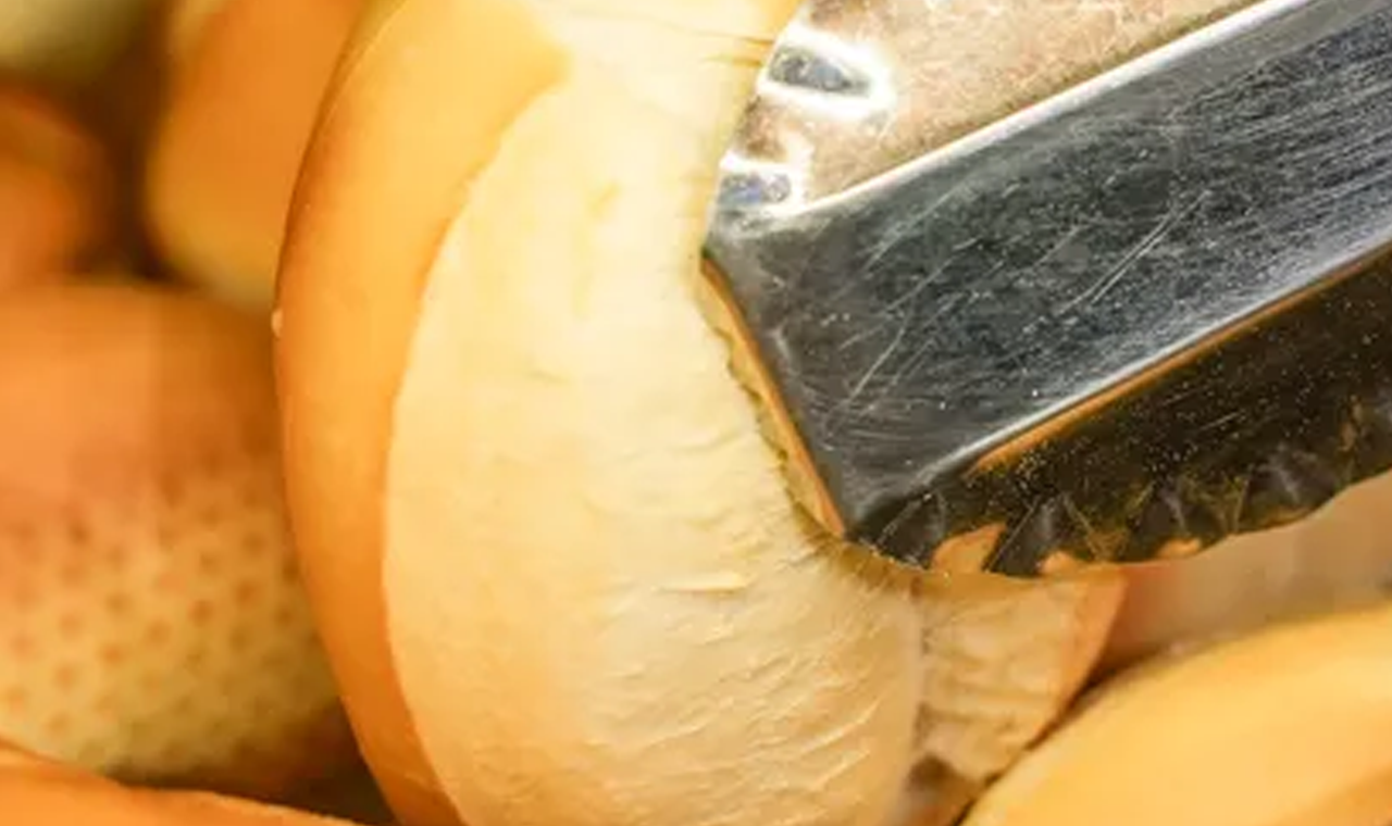 Trigo espera até um ano e passa por mais de 30 processos antes de você poder colocar manteiga no pão