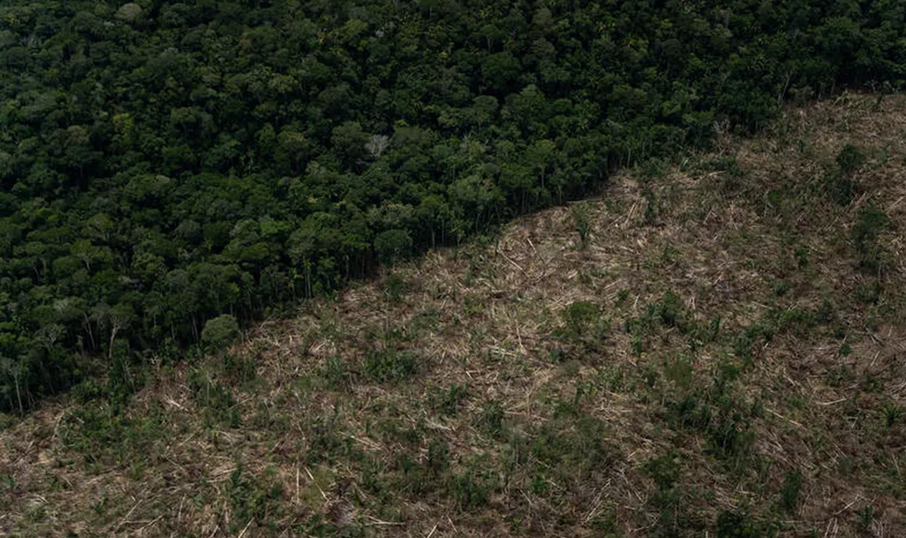 Amazônia registra décimo mês consecutivo de redução do desmatamento, aponta Imazon