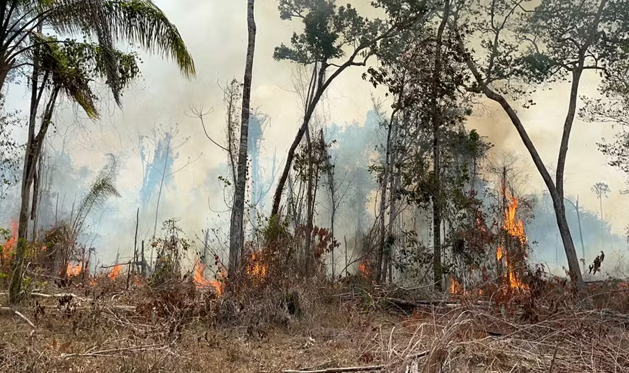 Terra do fogo: como Roraima se tornou o estado com maior número de incêndios em fevereiro de 2024