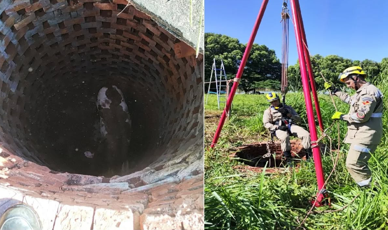 BOMBEIROS RESGATARAM VACA QUE CAIU EM CISTERNA EM QUIRINÓPOLIS