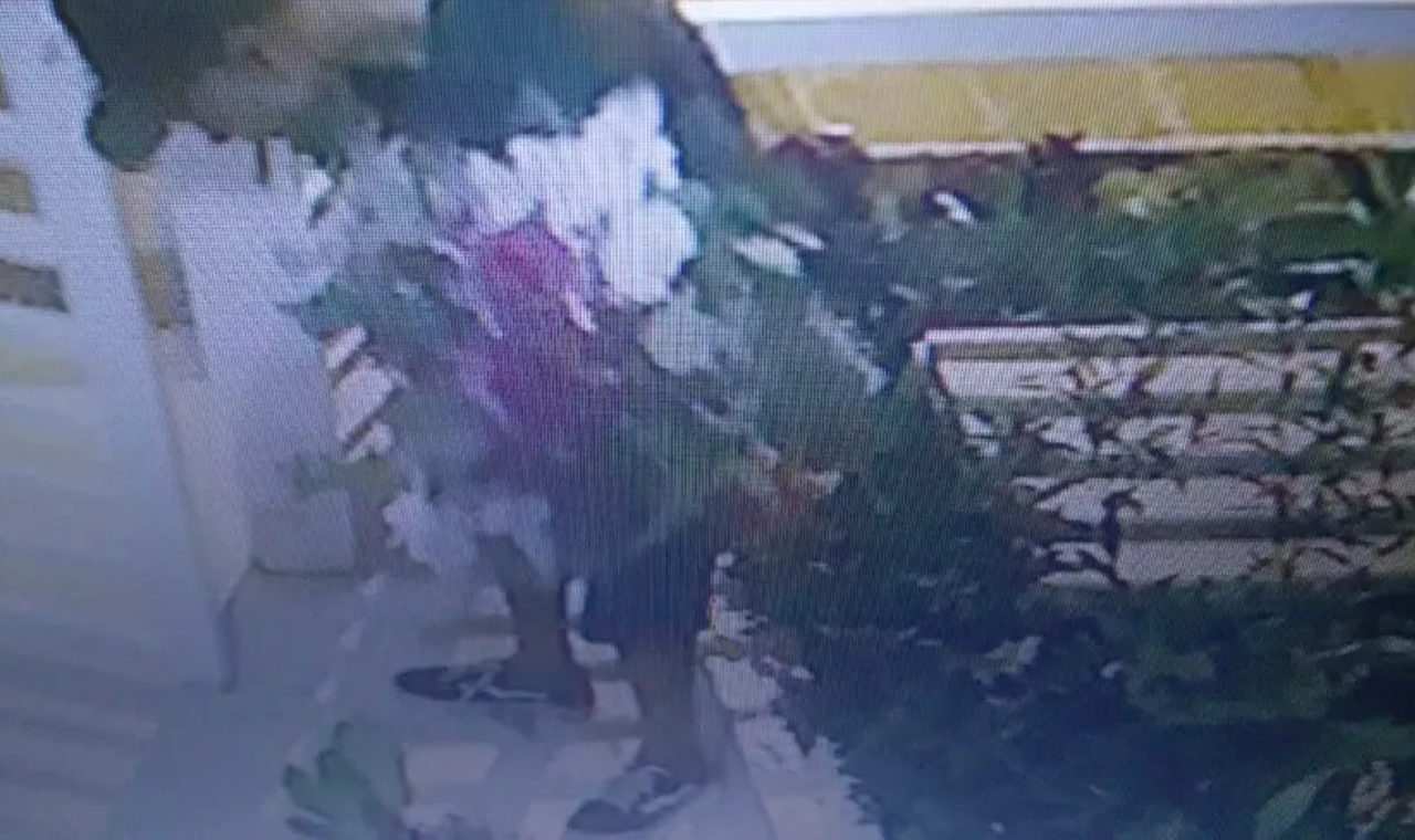 ORQUÍDEAS SÃO FURTADAS DE RESIDÊNCIA NO CENTRO DE QUIRINÓPOLIS