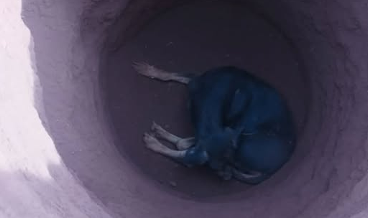BOMBEIROS RESGATAM CACHORRO PRESO EM BURACO EM QUIRINÓPOLIS
