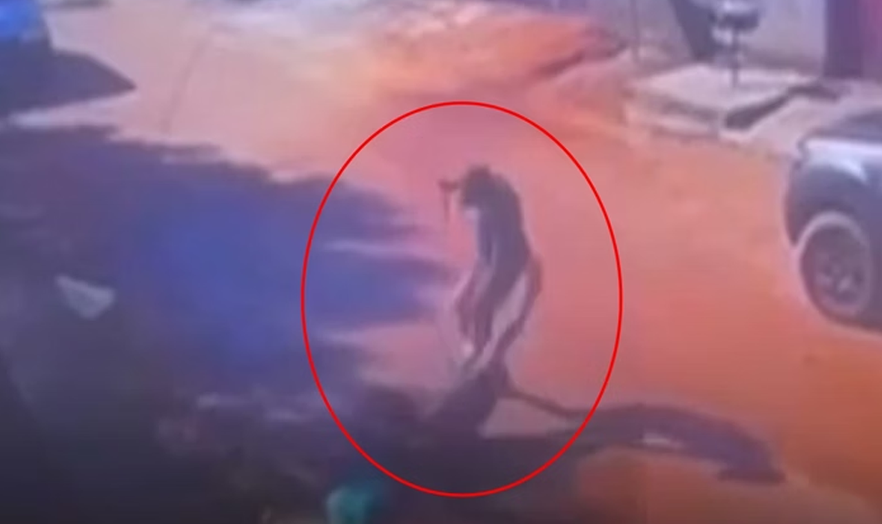 MULHER ESFAQUEIA HOMEM EM CACHOEIRA ALTA