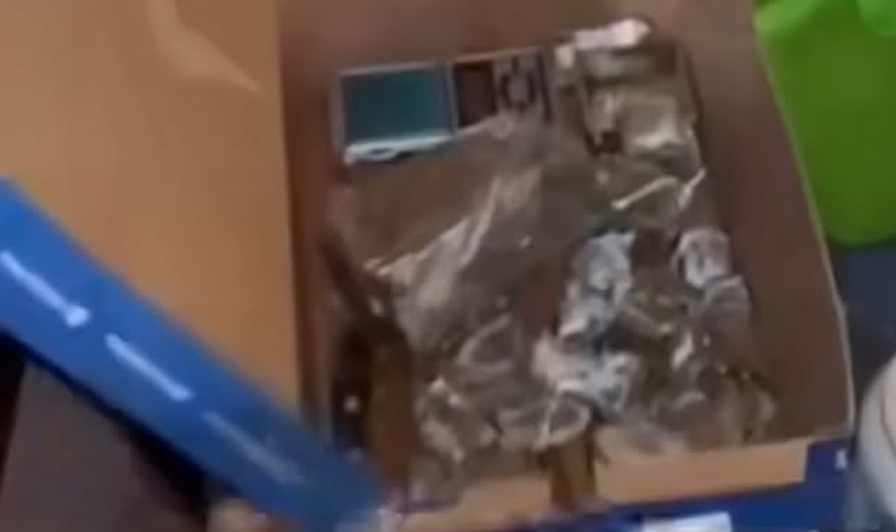 HOMEM É PRESO POR TRÁFICO DE DROGAS E POSSE ILEGAL DE ARMA DE FOGO EM QUIRINÓPOLIS