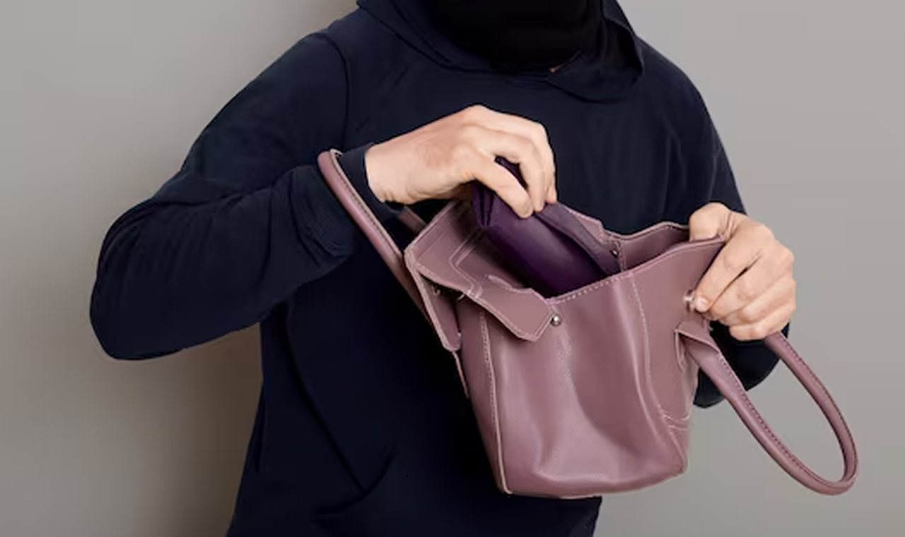 MULHER TEM BOLSA FURTADA DENTRO DE CASA EM QUIRINÓPOLIS