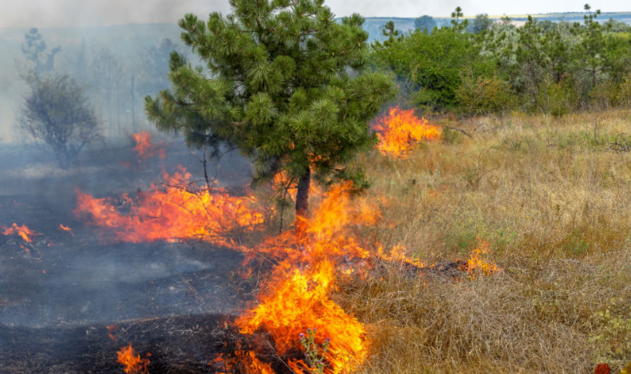 OPERAÇÃO CERRADO VIVO: POLÍCIA CIVIL PRENDE FAZENDEIRO SUSPEITO DE PROVOCAR INCÊNDIO DE GRANDES PROPORÇÕES EM QUIRINÓPOLIS