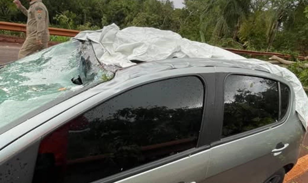 QUEDA DE ÁRVORES INTERDITA GO-164 E ATINGE VEÍCULO ENTRE QUIRINÓPOLIS E PARANAIGUARA