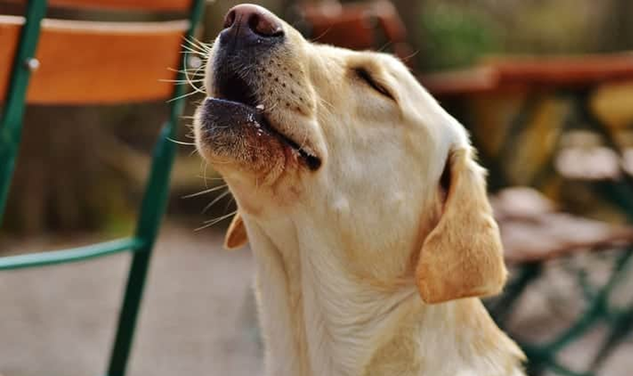 VIZINHOS TROCAM ACUSAÇÕES DE AMEAÇA NO POVOADO GERALDO LEMES