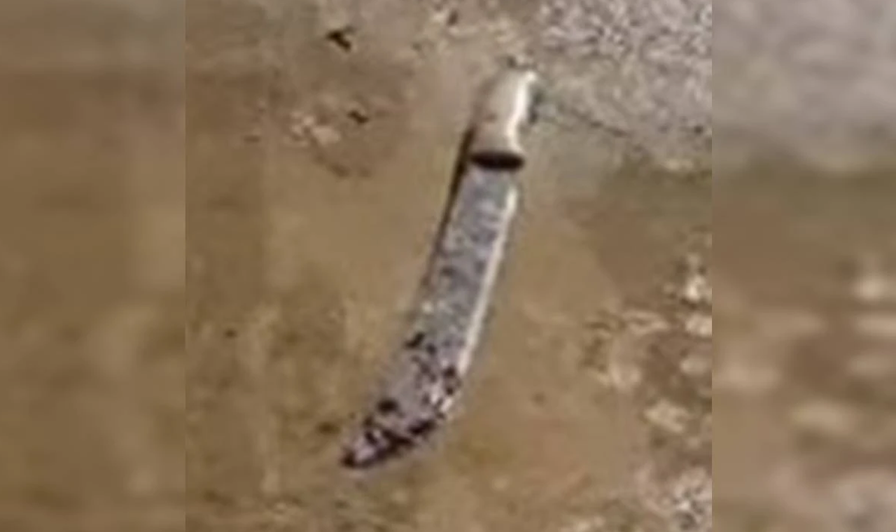 HOMEM MATA ESPOSA E TIRA A PRÓPRIA VIDA NA ZONA RURAL DE QUIRINÓPOLIS