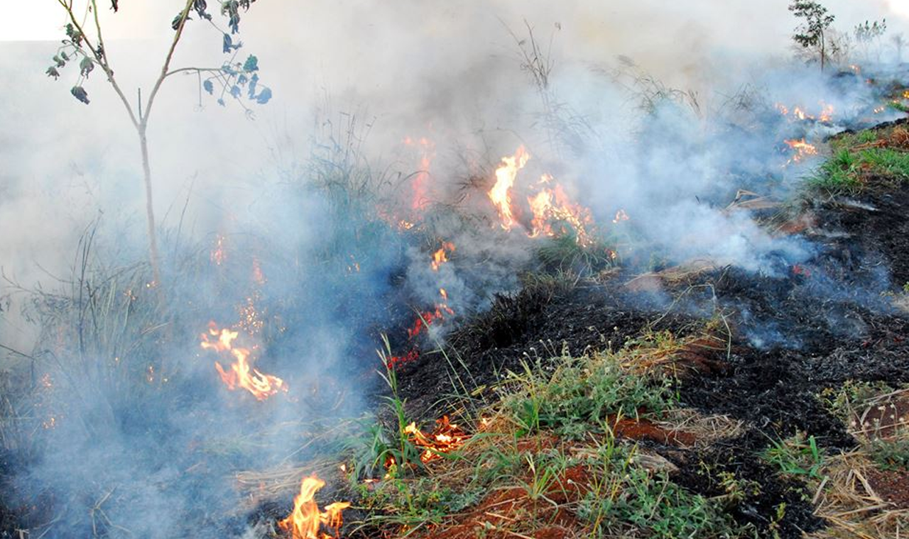 QUEIMADA EM LOTE BALDIO MOBILIZA POLÍCIA NO CENTRO DE QUIRINÓPOLIS