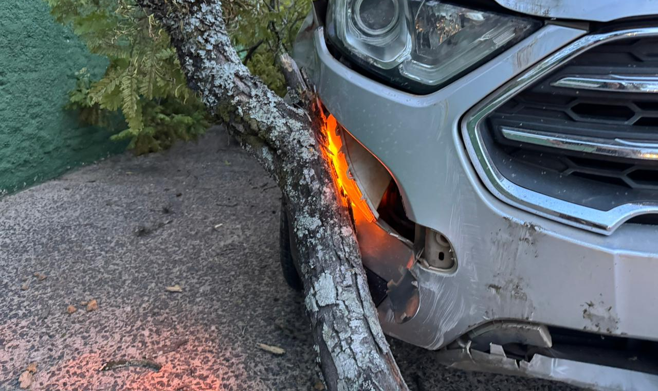 MOTORISTA É ENCONTRADO DORMINDO AO VOLANTE APÓS COLIDIR CONTRA ÁRVORE EM QUIRINÓPOLIS